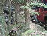 Jeeps in the Rocks